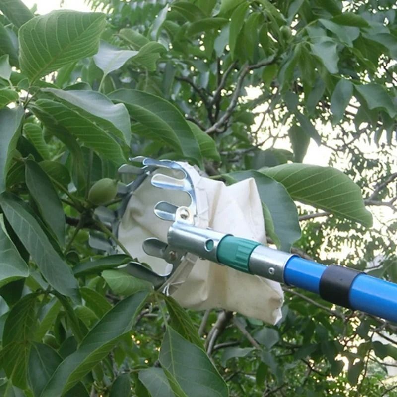 Convenient High Altitude Fruit Picker Device