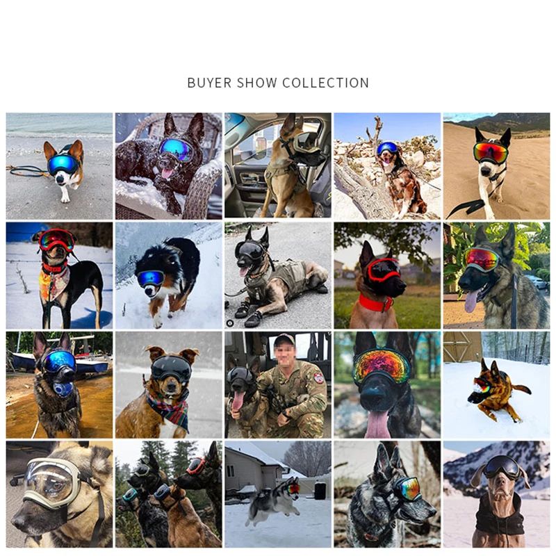 Dog Goggles UV Protection Eyewear