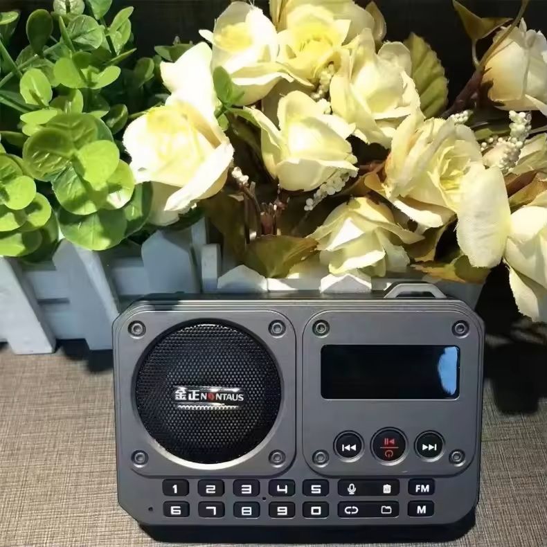 Mini FM Radio with Bluetooth Speaker and LED Display