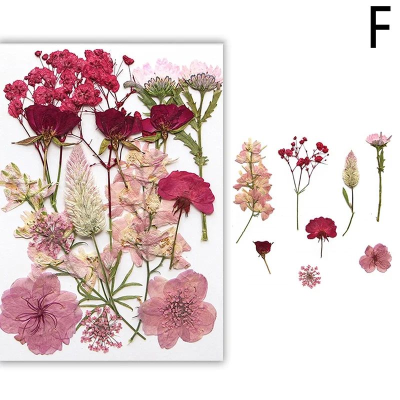 Natural Dried Flower Resin Fillers