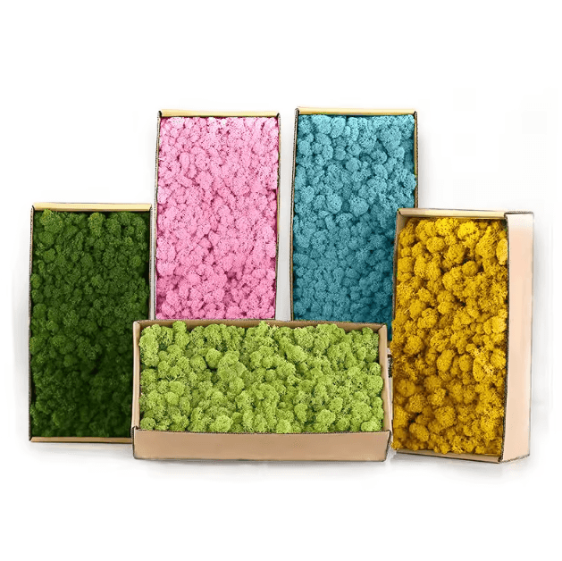 Mini Artificial Moss Grass Decor – Realistic Green DIY Landscape for Home & Crafts