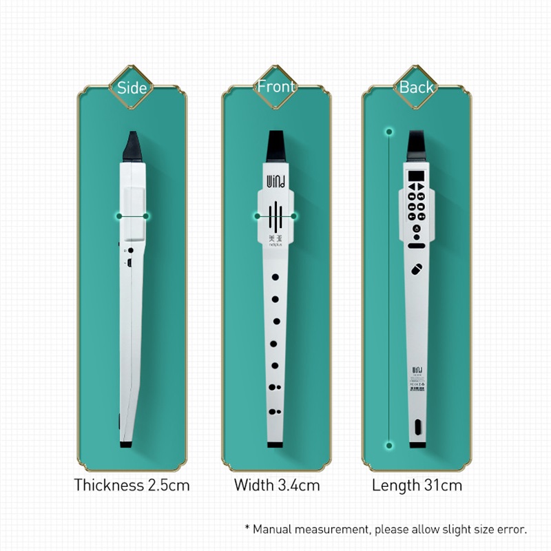 Pocket Digital Electronic Wind Instrument Mini Pocket Saxophone Wind Instrument with 10 Tones, Clarinet, Flute