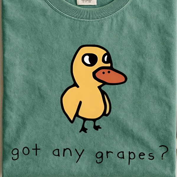 Got Any Grapes Shirt, Funny Duck Sweater, Funny Women's Sweatshirt, Duck Song Tee, I'm Overstimulated