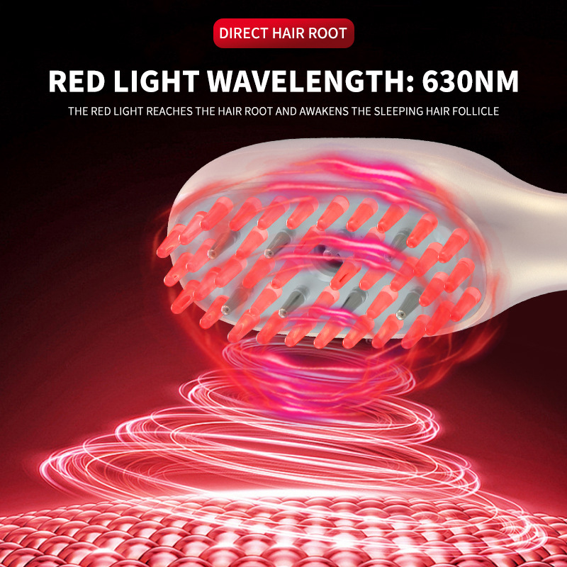 Hair Growth Scalp Massager, EMS Red Light Therapy Brush, Anti Hair Loss Essential Oil Meridian Comb, USB Hair Treatment