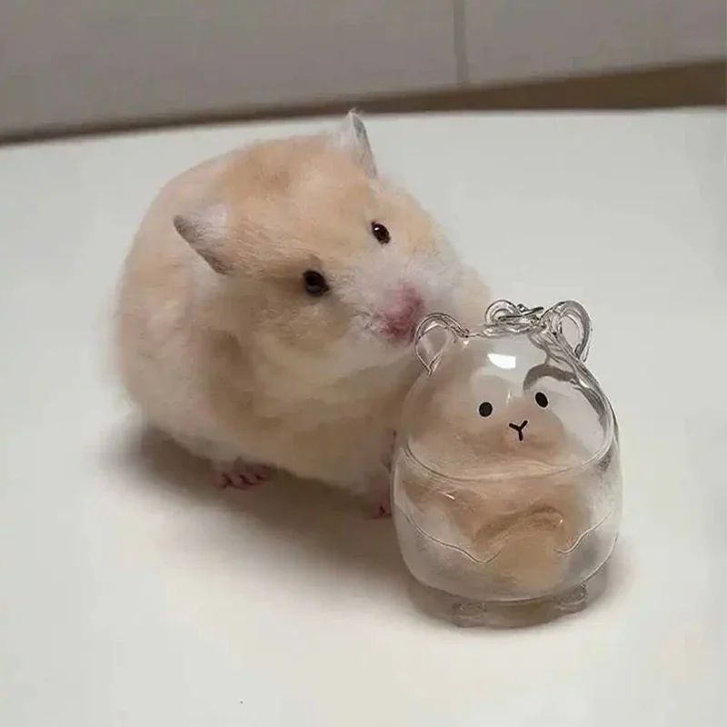 Hamster Fur Storage Keychain Pet Hair Keepsake Capsule Pendant