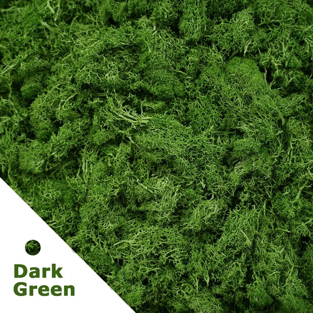 Premium Eternal Life Preserved Artificial Moss Grass