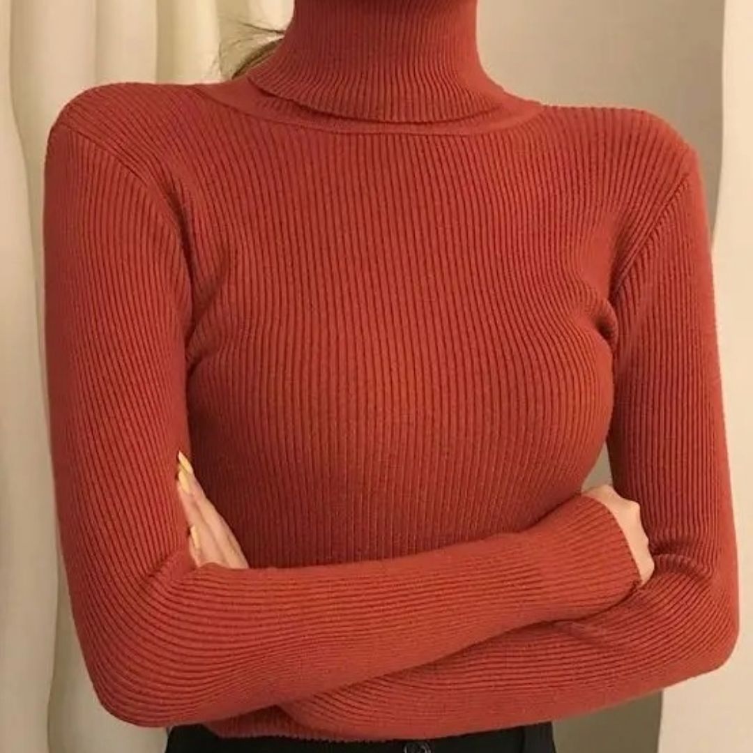 Heliar Womens Turtleneck Knitted Pullover Soft Autumn Winter Sweater