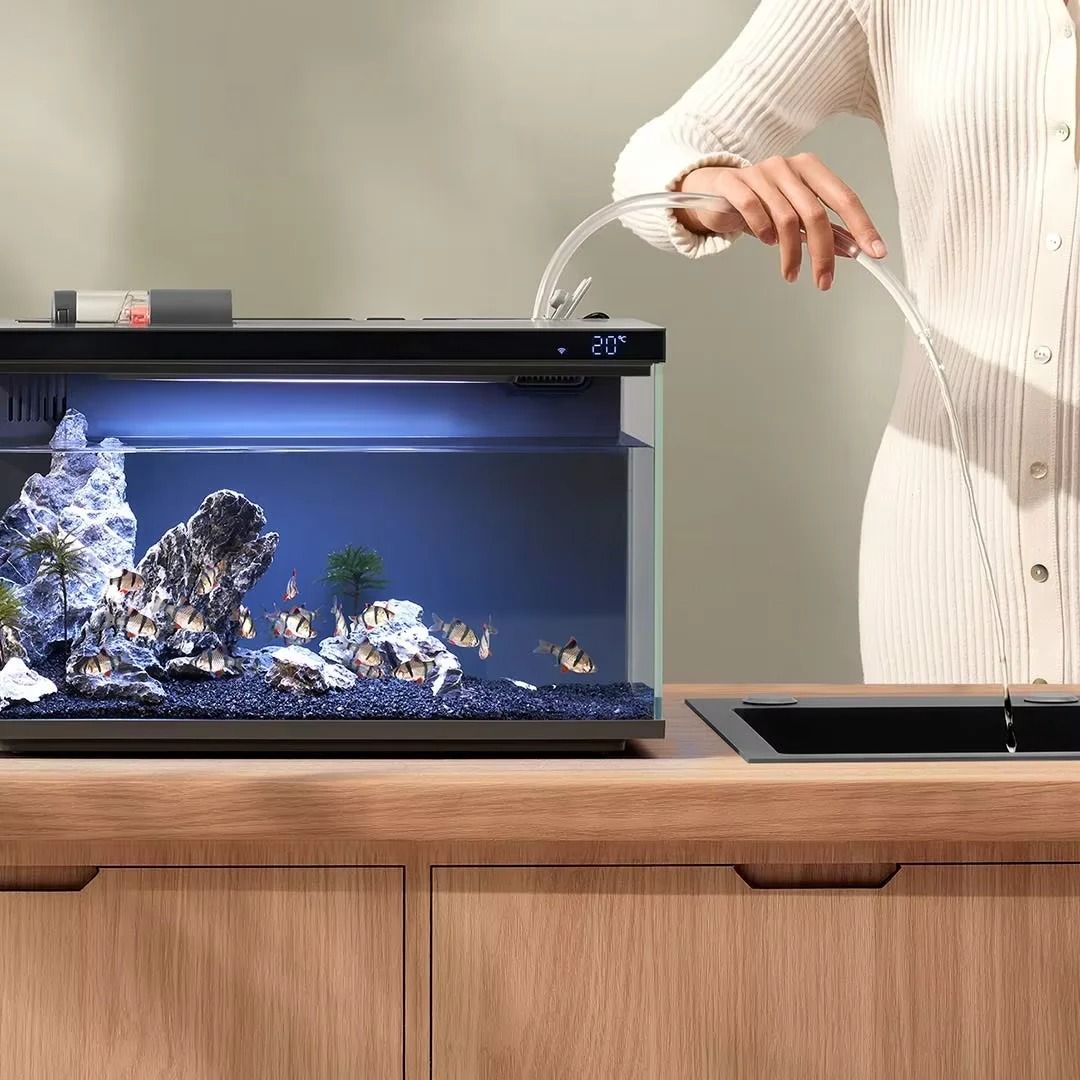 Smart Fish Tank with Remote Control Feeding and Lighting System
