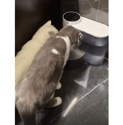 Automatic Cat & Dog Water Fountain – Rechargeable Running Water Dispenser