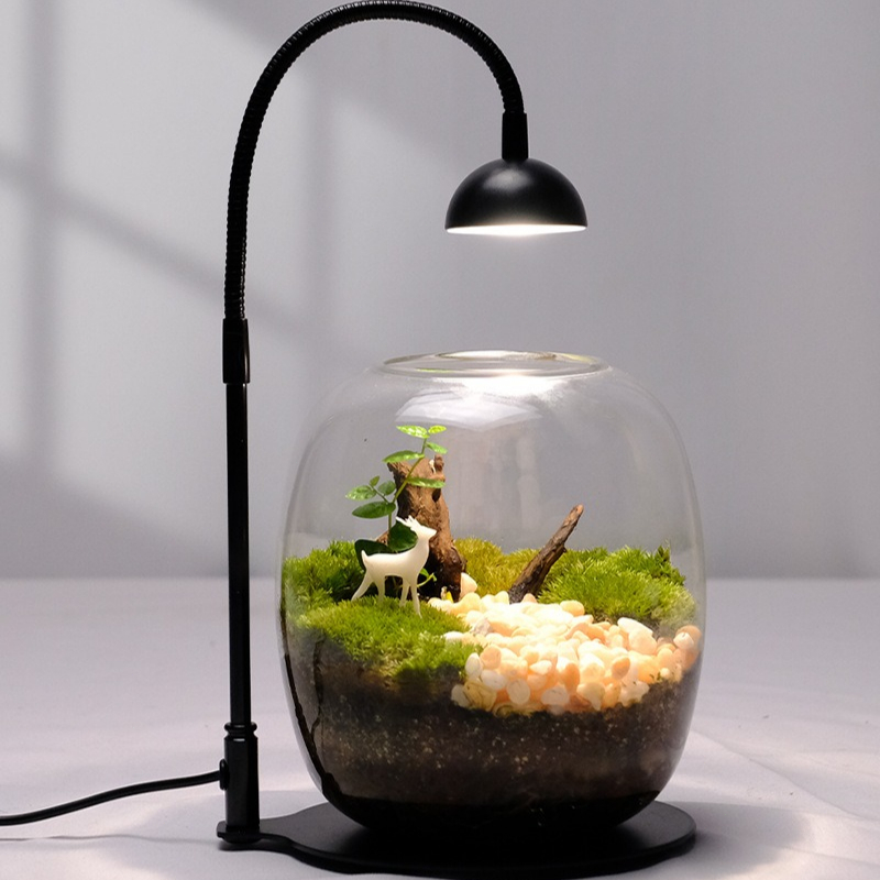 Rechargeable Grow Light for Plants, Full Spectrum with Smart Timer for Indoor Moss Terrariums