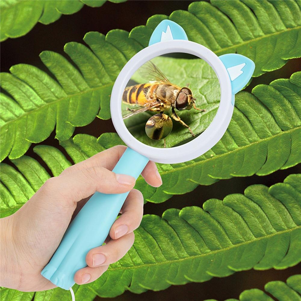 Cartoon Frog Kids Magnifying Glass Handheld Science Experiment Magnifier Toy