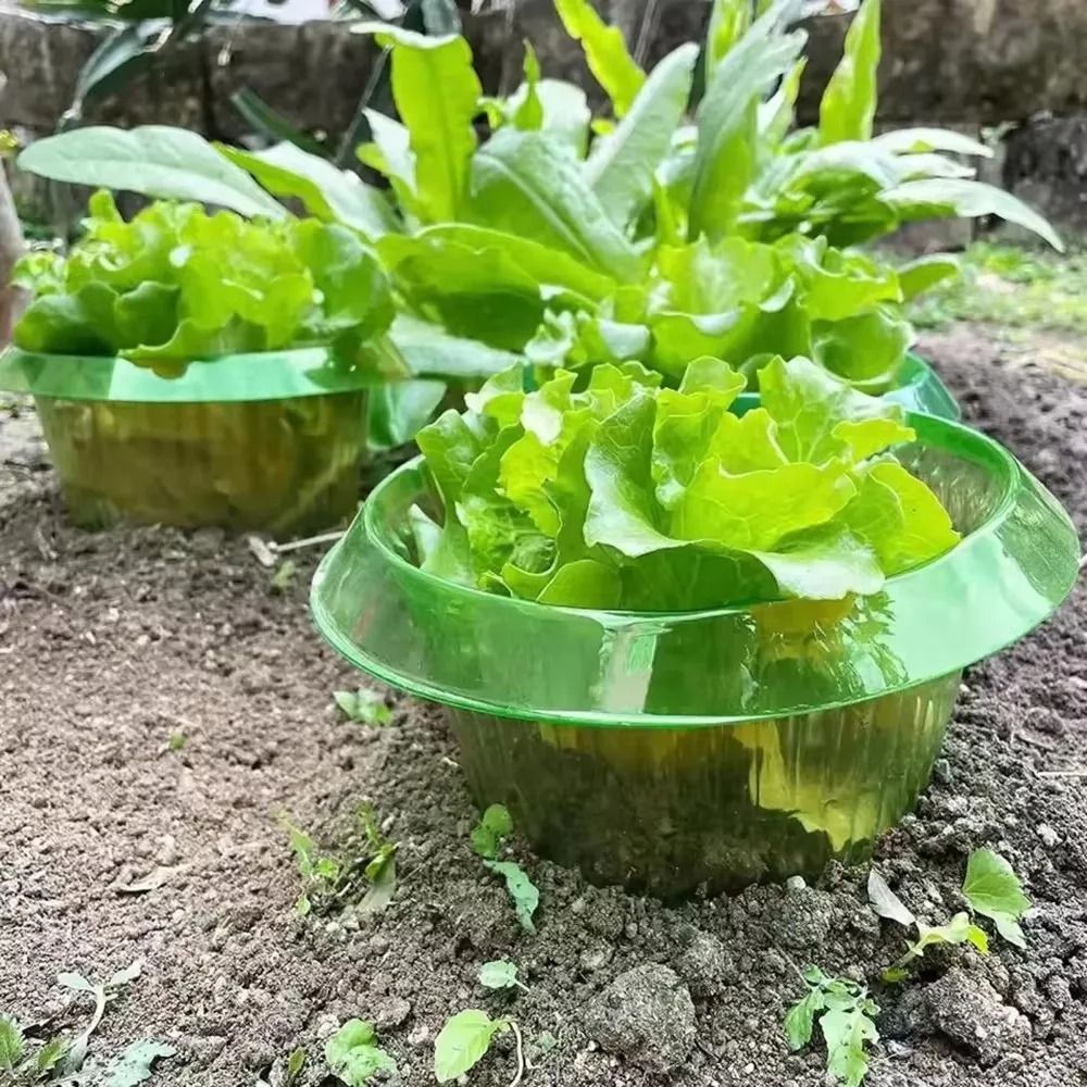 Green-Guard Seedling Protection Collars (5PC Set)
