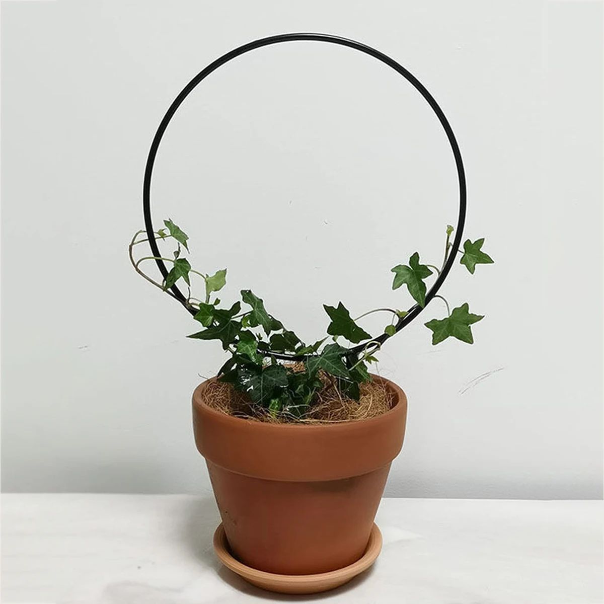 Black Iron Garden Trellis – Rustproof Climbing Plant Support for Indoor & Outdoor Decor