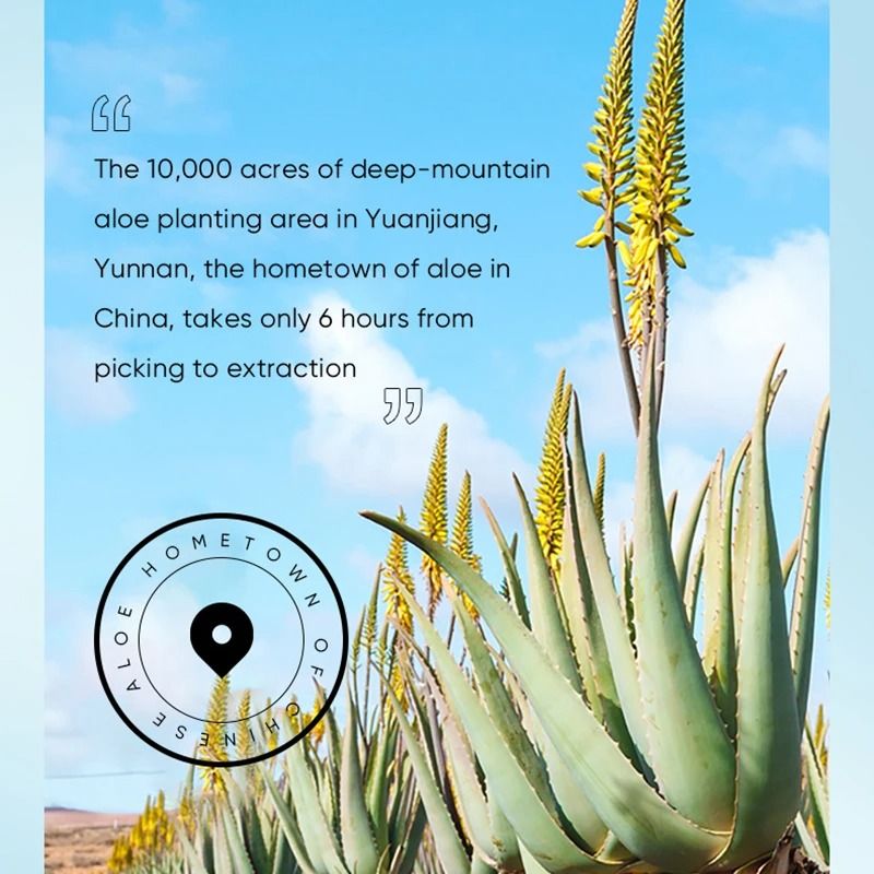 Aloe Vera Intensive Repair Hand Cream – 30g Nourishing Serum Infusion