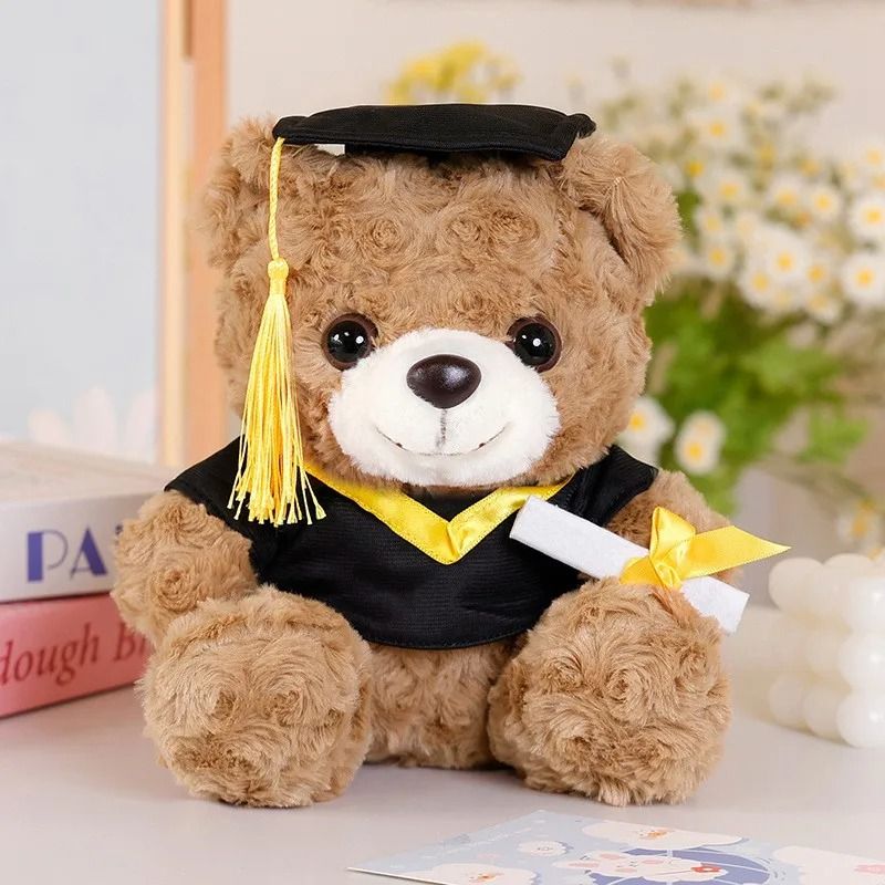 Dr Bear 25cm Graduation Plush Toy