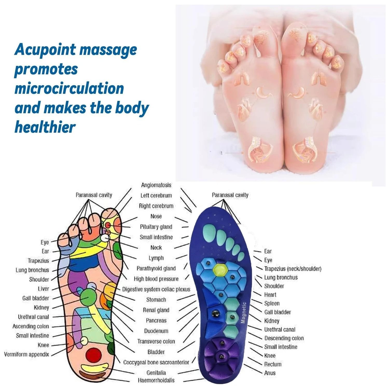 Orthopedic Arch Support Insoles with Magnetic Acupressure and Shock Absorption