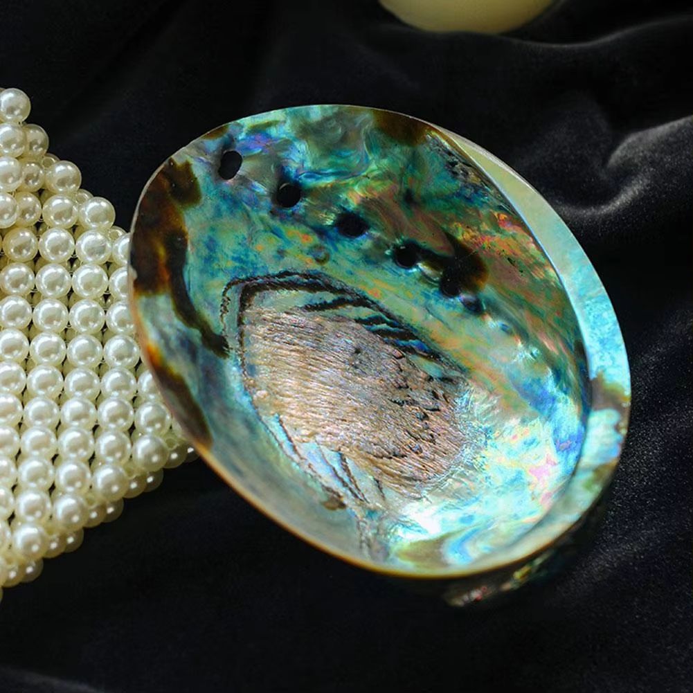 Paua Abalone Shell Smudge Kit with Tripod Stand Natural Sage Cleansing Bowl 4.33–5.12in