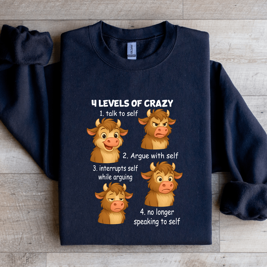 4 Levels Of Crazy 1 Talk To Self Sweatshirt