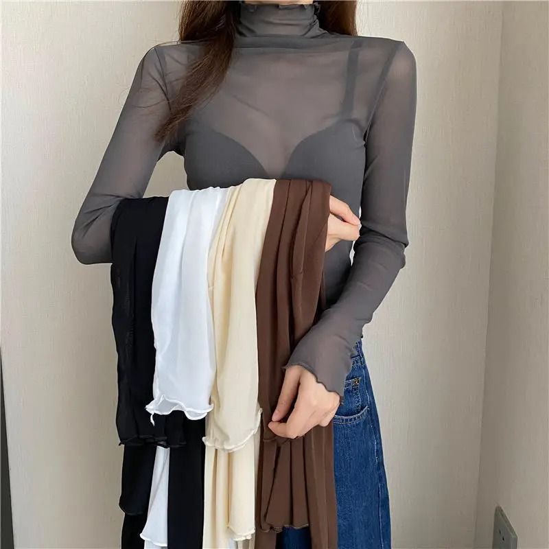 Sheer Transparent Mesh Long-Sleeve Crop Turtleneck Top