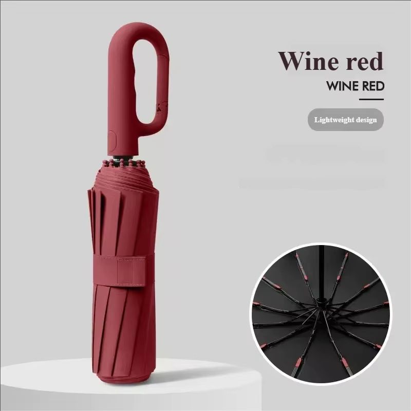 20 Rib Automatic Windproof Umbrella Extra Large Folding Sun and Rain Protection