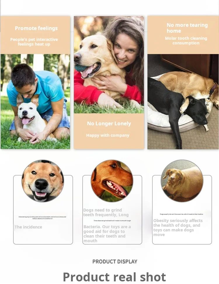 Animal Shaped Squeaky Dog Chew Toys