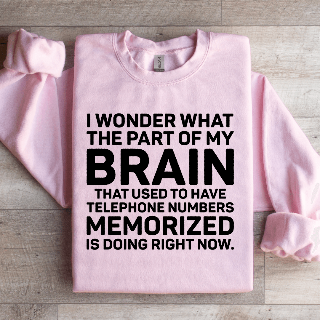 I Wonder What The Part Of My Brain Sweatshirt