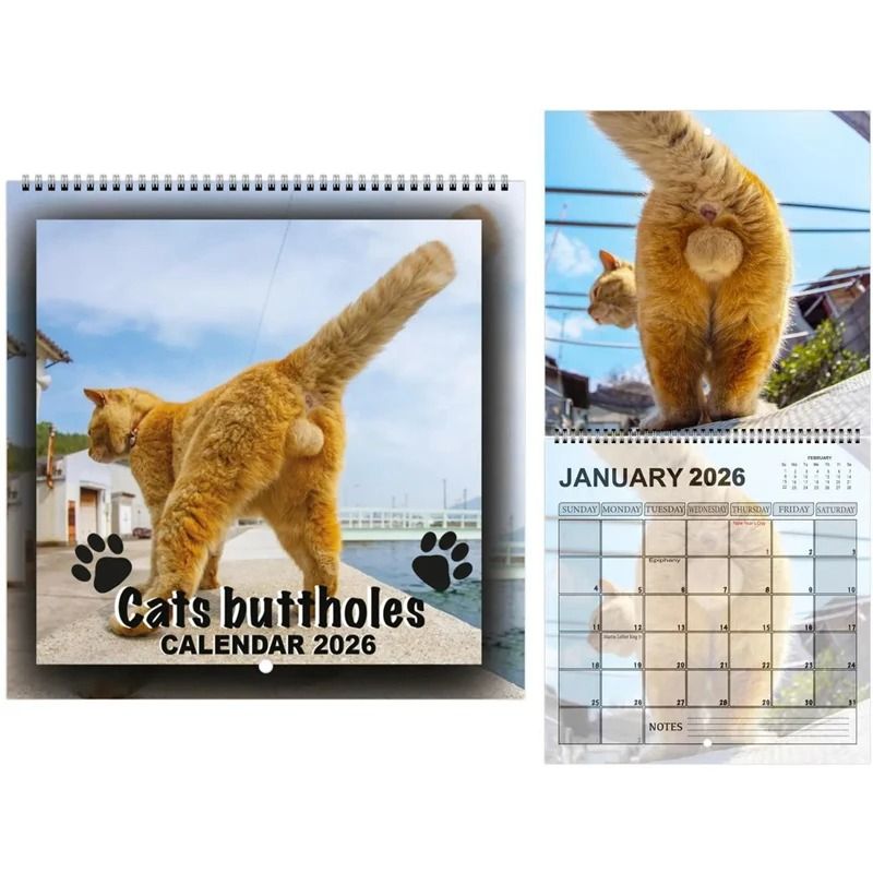 Funny 2026 Cats Buttholes Calendar Unique Humorous Monthly Planner for Gifting and Decor