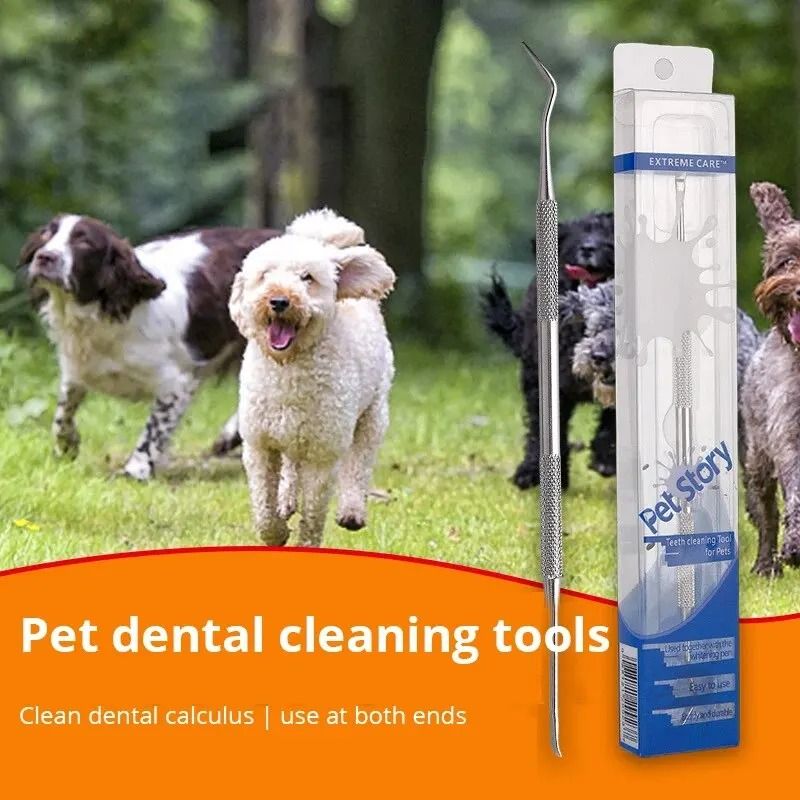 Stainless Steel Pet Dental Cleaning Pen for Tartar Removal