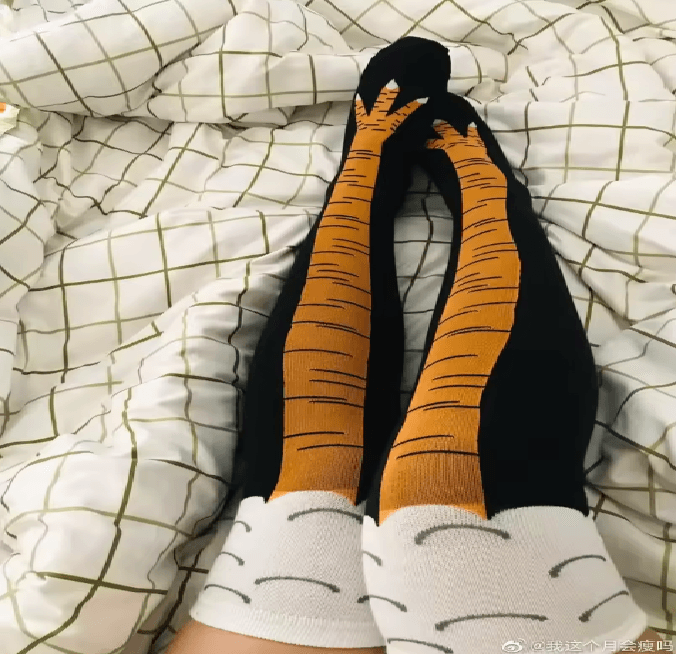 Funny Chicken Print Thigh High Socks