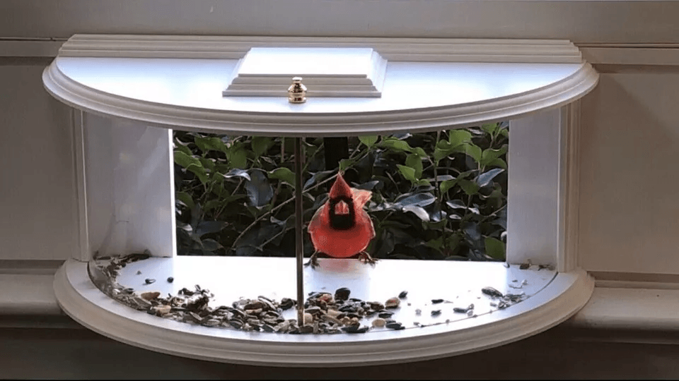 Clear View Window Bird Feeder, 180° Indoor Viewing, Easy Refill, Durable PVC Design