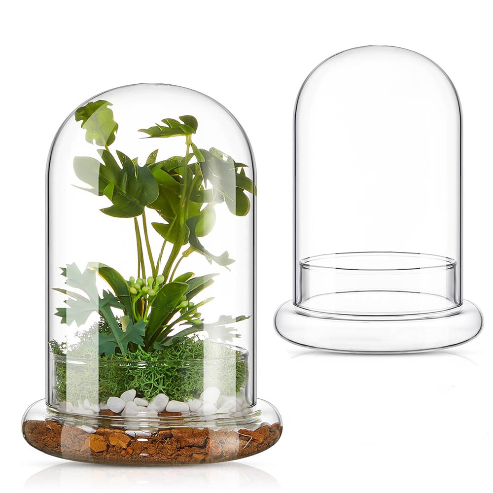 Elegant Glass Cloche Terrarium Dome with Base for Plant Display Case Decor