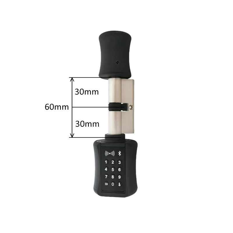 TTLock Bluetooth Smart Cylinder Lock, WiFi Smart Security Lock, APP Keypad Code, RFID Card Keyless Entry