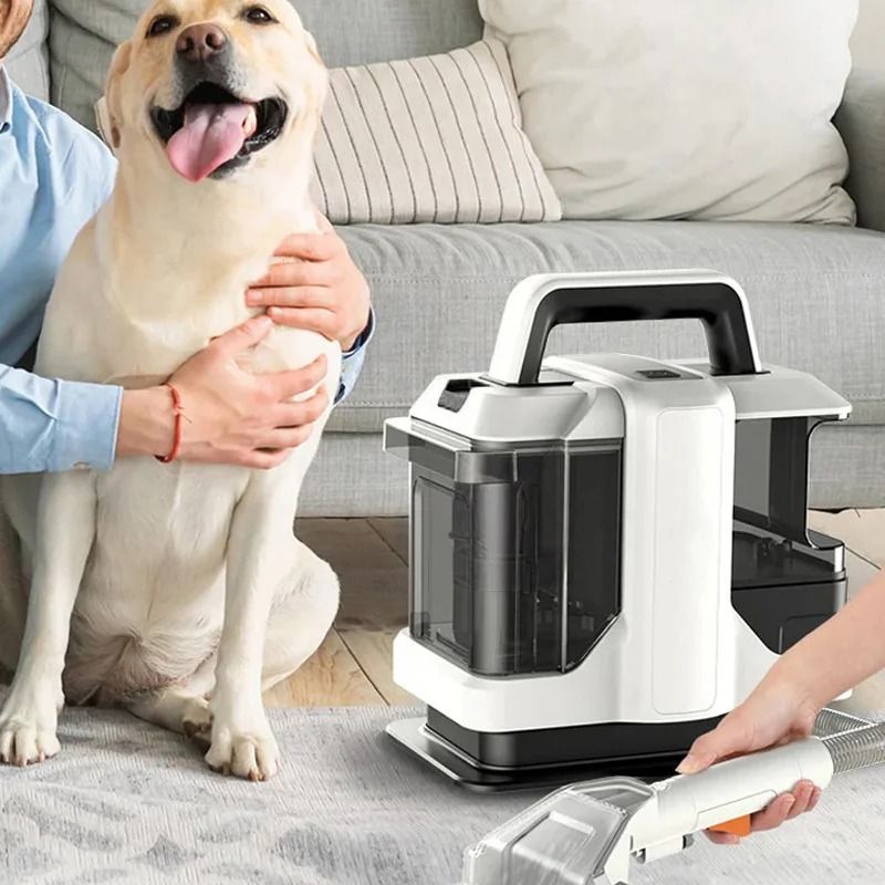 Professional Handheld Carpet and Pet Spot Cleaner