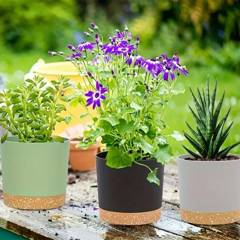 2 Pack Indoor Flower Pots with Drainage Holes and Removable Base