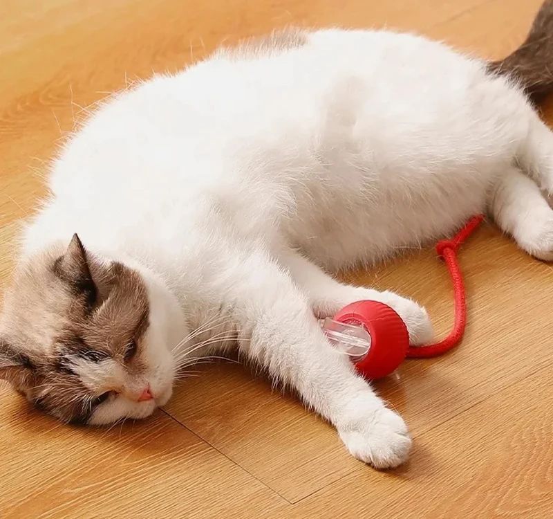 Rechargeable Smart Interactive Cat Ball Toy