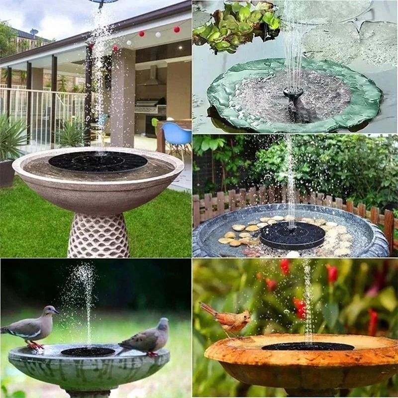 Solar Powered Floating Ecosystem Fountain
