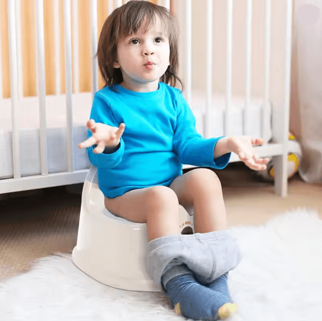 Lightweight Toddler Potty Training Seat