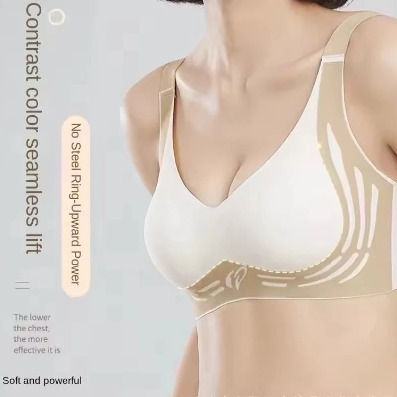 Plus Size Seamless Support Bra with Fixed Cups, No Trace Lift for Everyday and Light Sport