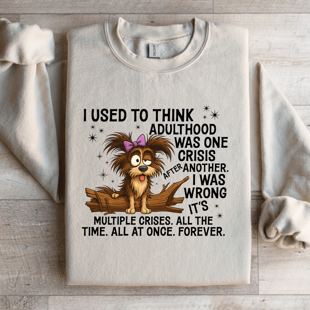 I Used To Think Adulthood Was One Crisis After Another Sweatshirt