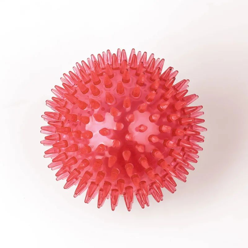 Squeaky Pet Chew Ball Toy