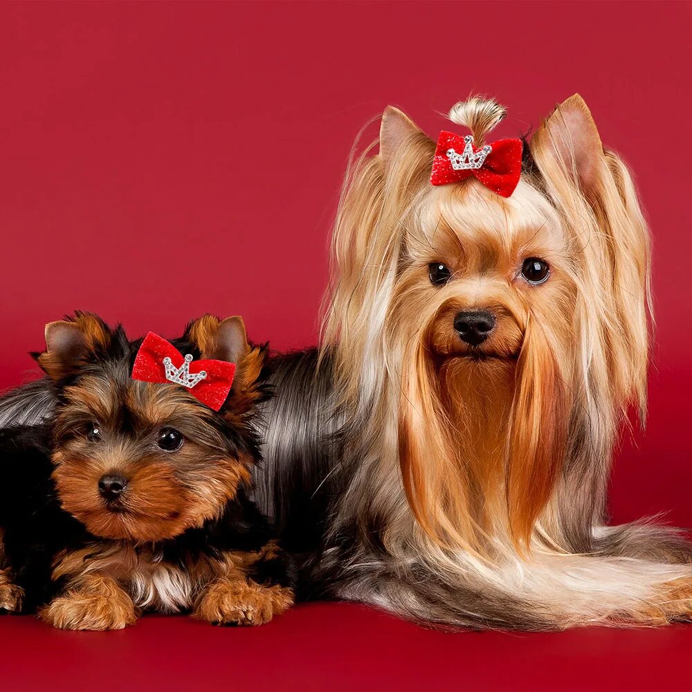 Glitter Dog Bow Hairpin: Puppy Crown Clips for Pet Royalty