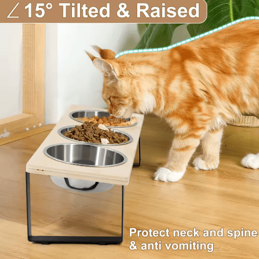 Elevated Cat Bowls Feeder with 15° Tilt & 3 Stainless Steel Bowls
