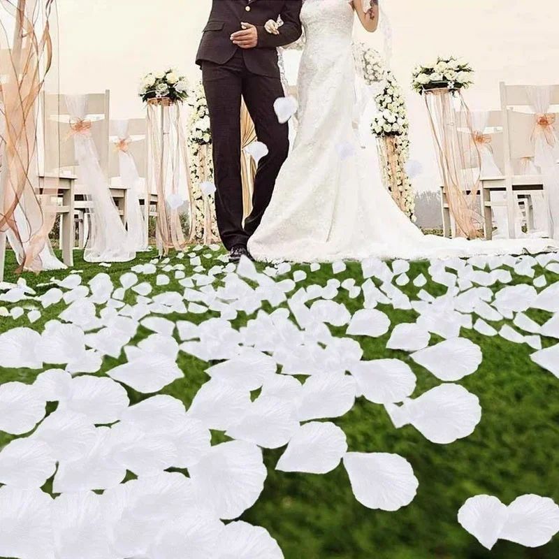 1000pcs silk rose petals for Weddings & Romantic Decor - Soft White Party Table Scatter