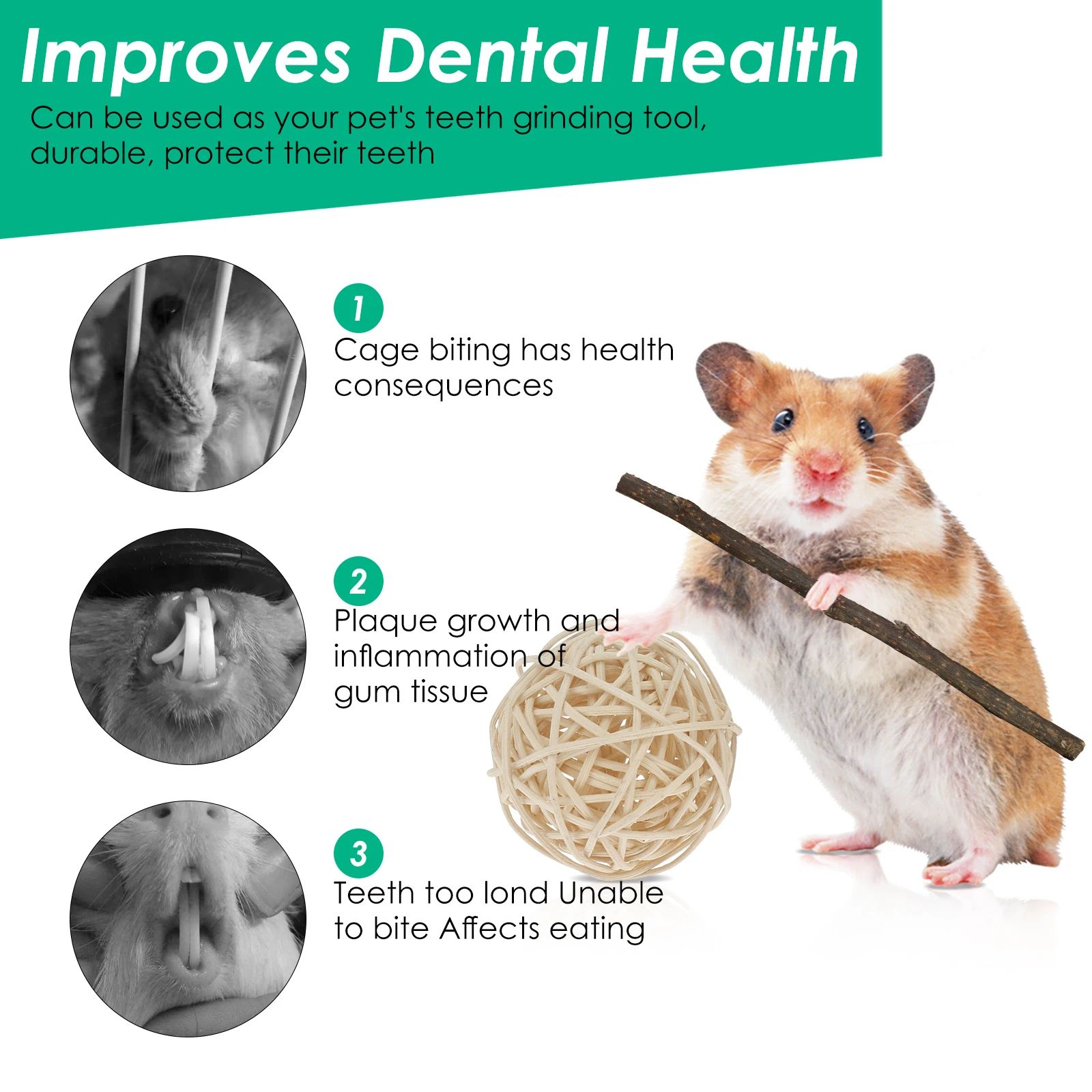 Natural Wooden Small Pet Chew Toy Set
