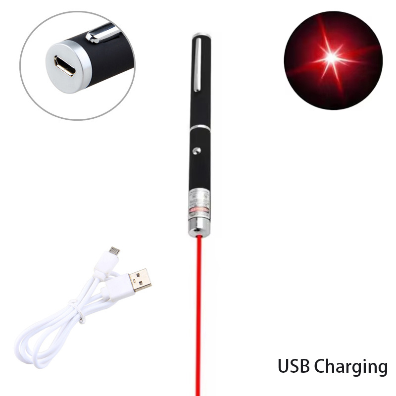 Interactive Pet Laser Pointer LED Flashlight Fun Cat Training Toy & Holiday Gift