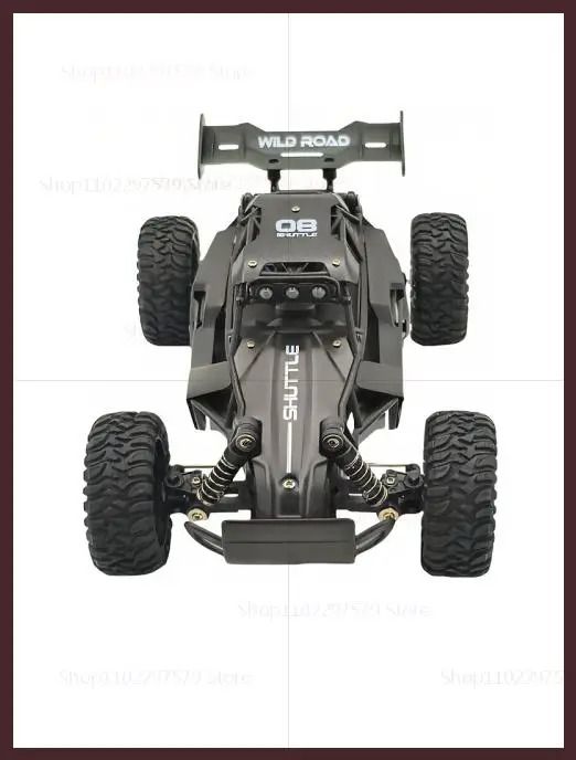 Remote Control 116 RC Truck Off Road 24 GHz High Speed with LED Lights