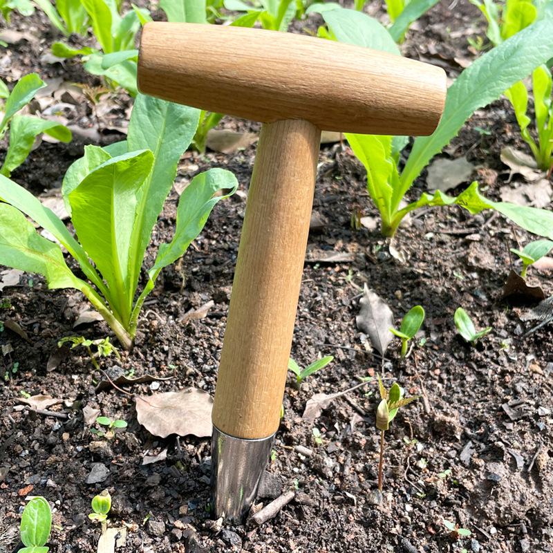 Heavy-Duty Seed Transplanting & Planting Tool, Ergonomic T-Shaped Gardening Hole Puncher for Bulbs, Seedlings, and Pots