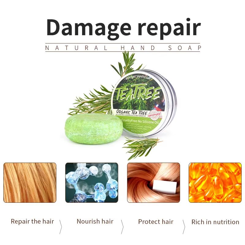 Purify & Balance Tea-Tree Oil Plant Shampoo – Refreshing Scalp & Stronger Hair