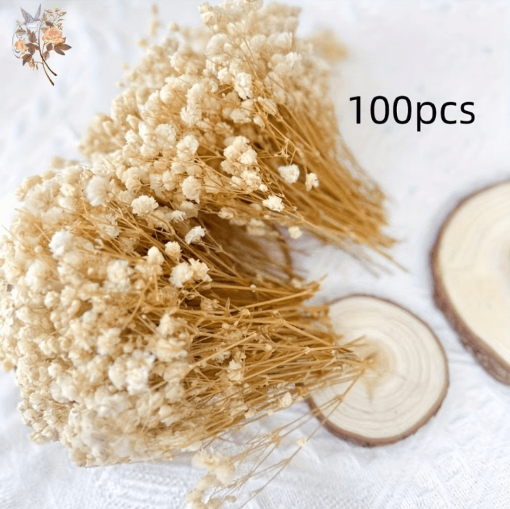 100pcs Mini Dried Babys Breath Flowers – Real Gypsophila for Resin & DIY Decor