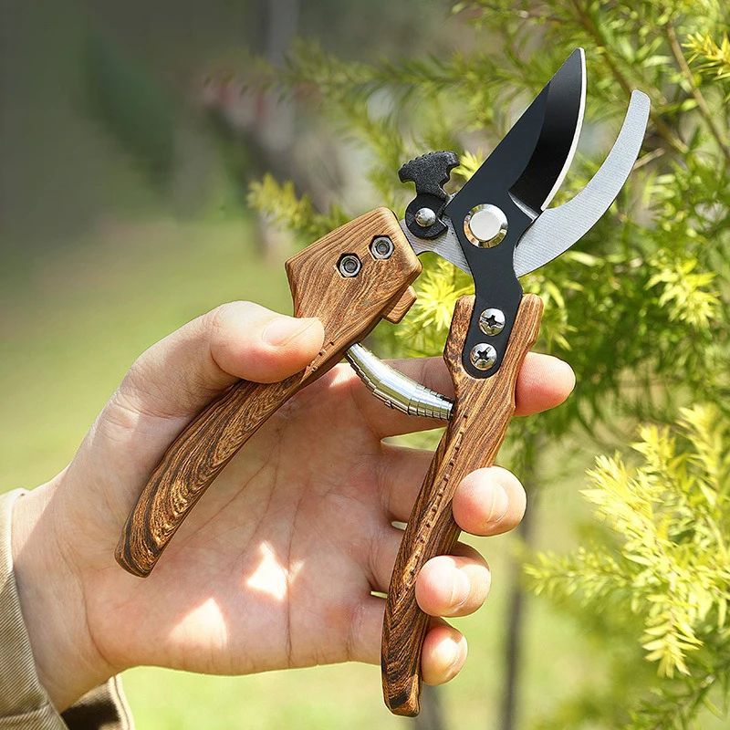 Precision Bonsai Pruning Shears and Garden Pruning Scissors for Clean, Effortless Trimming